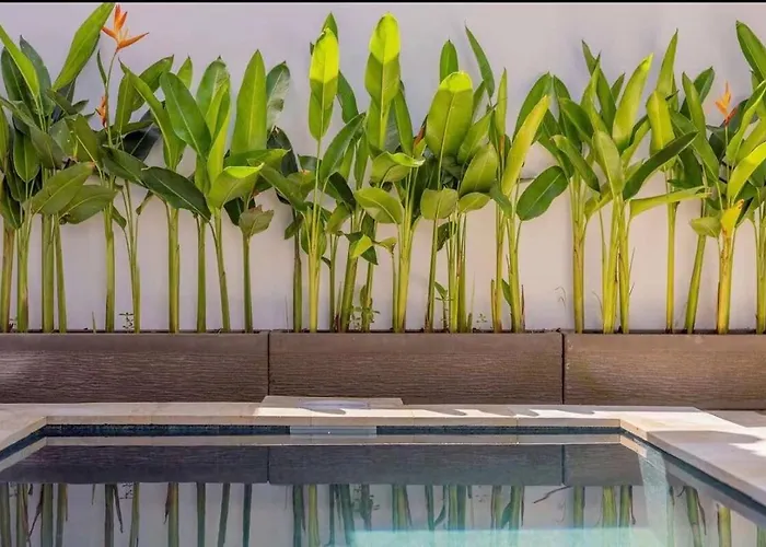 Villa Tropical 1br With Private Pool Felix Berawa